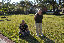 the_loudons005002.jpg
