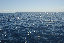 the_loudons006006.jpg