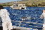 the_loudons006007.jpg