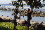 the_loudons006015.jpg