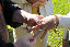 the_loudons006031.jpg
